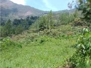 Lote industrial en venta en Copacabana, Antioquia