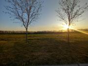 Lote interno en area 9 de 1007m2 orientacion NE San...