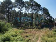 LOTE IXTLA EN VENTA