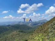 Lote, Jardim da Torre, Nova Lima, R$380.000,00, à venda...