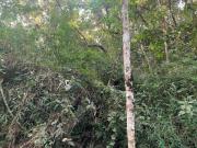 Lote, Jardins de Petropolis, Nova Lima, MG