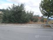 Lote, Lamego Almacave e Sé, Lamego | BPI Expresso...