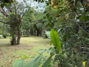 Lote liberado para construção na Praia de Itamambuca,...