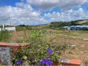 Lote, Lourinhã e Atalaia, Lourinhã | BPI Expresso...