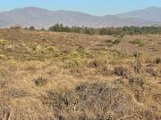 Lote Maitencillo Sur: acceso por Puchuncaví ByP