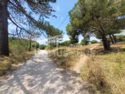 Lote, Montenegro, Faro | BPI Expresso Imobiliário