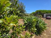 Lote no B de Santo Antnio