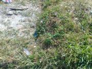 Lote no Bairro Gávea