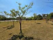 Lote no condominio Royal Garden