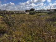 Lote,Nova azeda Setúbal