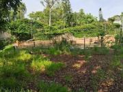 Lote para aluguel, GarÃ§as Belo Horizonte/MG