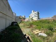 Lote para aluguel, Santa Amélia Belo Horizonte/MG