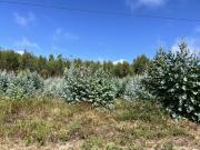 Lote para construção de moradia, 40 minutos de Lisboa