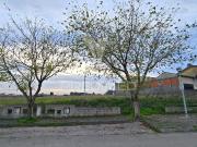 Lote para construção de moradia térrea, Oliveirinha, Aveiro