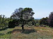 Lote para construção em Afife