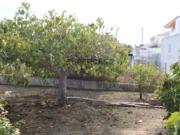 Lote para construção no Montenegro, Faro