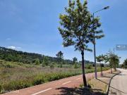 Lote para construo