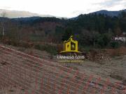Lote para construo, guas Santas