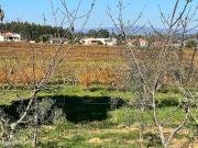 Lote para Moradia Vale das Figueiras