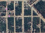 Lote para Venda em Goiânia, Condomínio Rio Branco