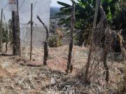 Lote para Venda em Ibirité, Novo Horizonte