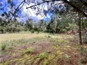 Lote Parcelacion Alto Palmas Envigado