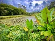 Lote Parcelacion Llanogrande Rionegro