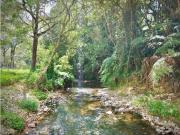 Venta Lote Exotica Vista Parcelacion Alto Palmas