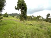 Venta Lote Parcelacion Via San Antonio La Ceja