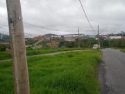 LOTE PLANINHO