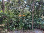 Lote plano com linda vista definitiva