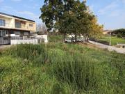 Lote, Requeixo, Nossa Senhora de Fátima e Nariz, Aveiro...