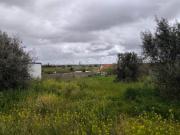 Lote, São João de Negrilhos, Aljustrel | BPI Expresso...