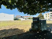 Lote, São Miguel Do Rio Torto e Rossio Ao Sul Do Tejo,...