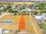 LOTE SALINAS CHINAS 4200