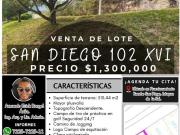 LOTE SAN DIEGO 102 MZ XVI Fracc Rancho San Diego Ixtapan...