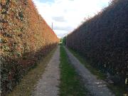 LOTE SE VENDE CHIA CUNDINAMARCA