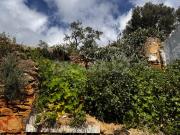 Lote, Setúbal São Julião, Nossa Senhora Da Anunciada e... Lote, Setúbal São Julião, Nossa Senhora Da Anunciada e...