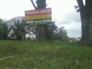 Lote sobre Av. Luro