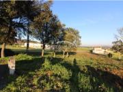 Lote Terreno