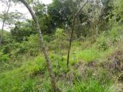 Lote / Terreno à venda em Belo Horizonte, no bairro Buritis