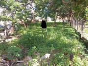 Lote / Terreno à venda em Belo Horizonte, no bairro Castelo