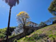 Lote / Terreno à venda em Belo Horizonte, no bairro...