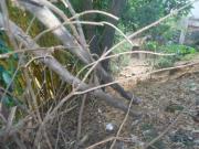 Lote / Terreno à venda em Belo Horizonte, no bairro...