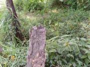 Lote / Terreno à venda em Contagem, no bairro Centro