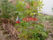 Lote / Terreno à venda em Contagem, no bairro Jardim...