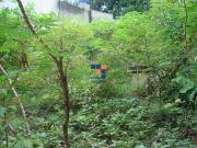 Lote / Terreno à venda em Contagem, no bairro Parque...