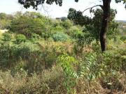 Lote / Terreno à venda em Contagem, no bairro Tropical