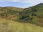 Lote / Terreno à venda em Iapu, no bairro Centro