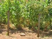 Lote / Terreno à venda em Ibirité, no bairro Industrial...